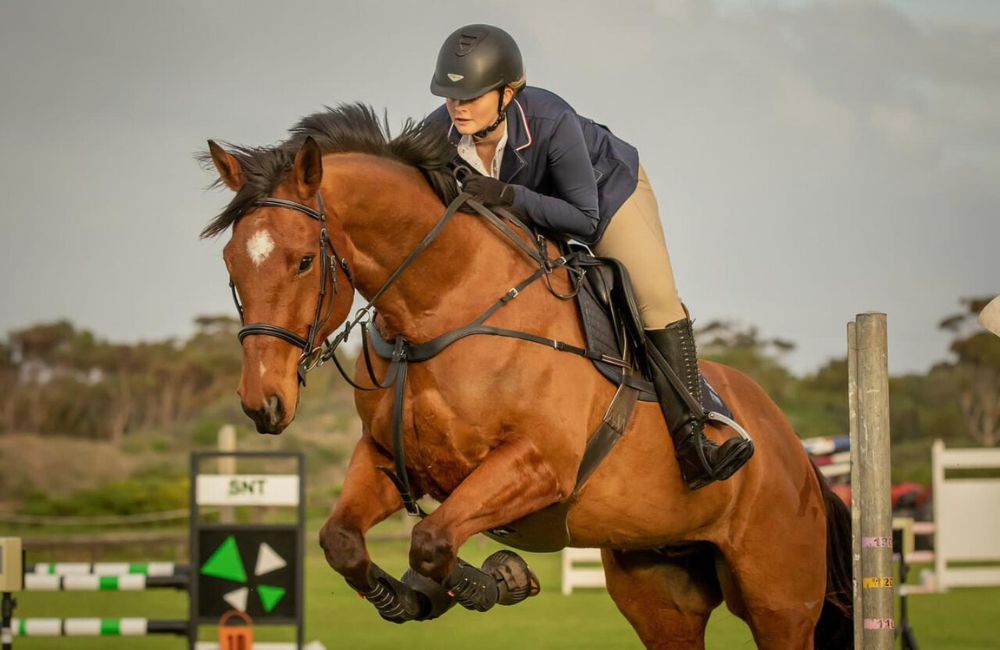 horse saddlery manufacturer in Kanpur