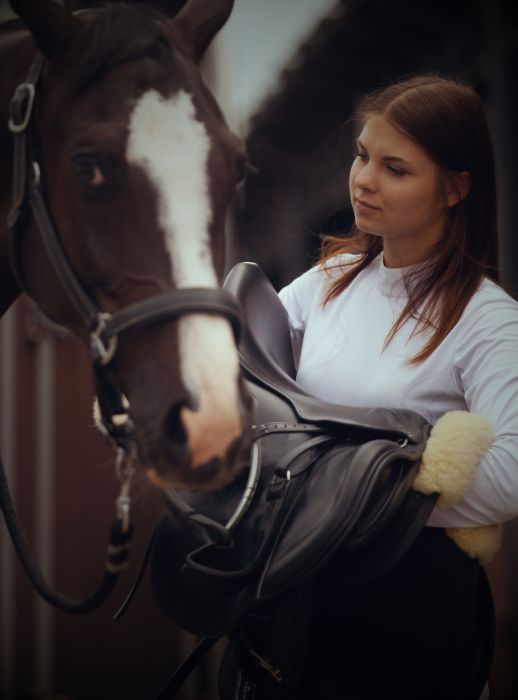 Breastplates for Equestrian